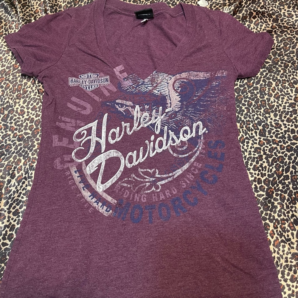 Harley Davidson Horny Toad Texas Graphic Tee